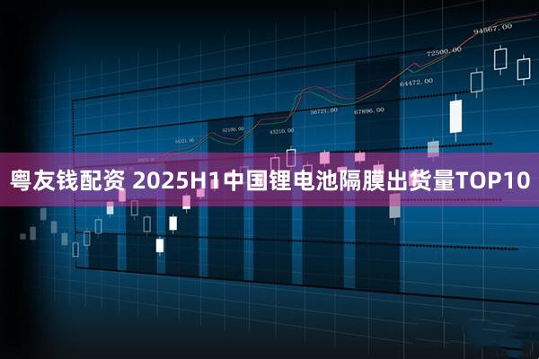 粤友钱配资 2025H1中国锂电池隔膜出货量TOP10