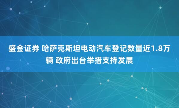 盛金证券 哈萨克斯坦电动汽车登记数量近1.8万辆 政府出台举措支持发展