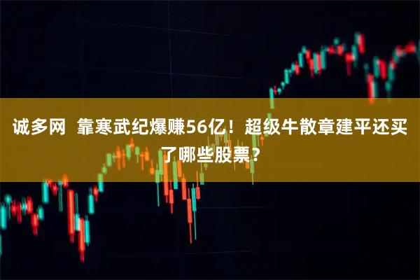 诚多网  靠寒武纪爆赚56亿！超级牛散章建平还买了哪些股票？