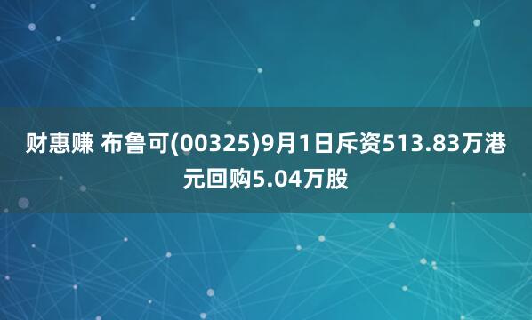 财惠赚 布鲁可(00325)9月1日斥资513.83万港元回购5.04万股