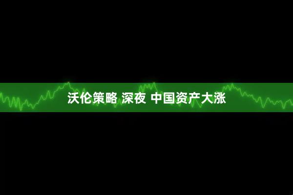 沃伦策略 深夜 中国资产大涨